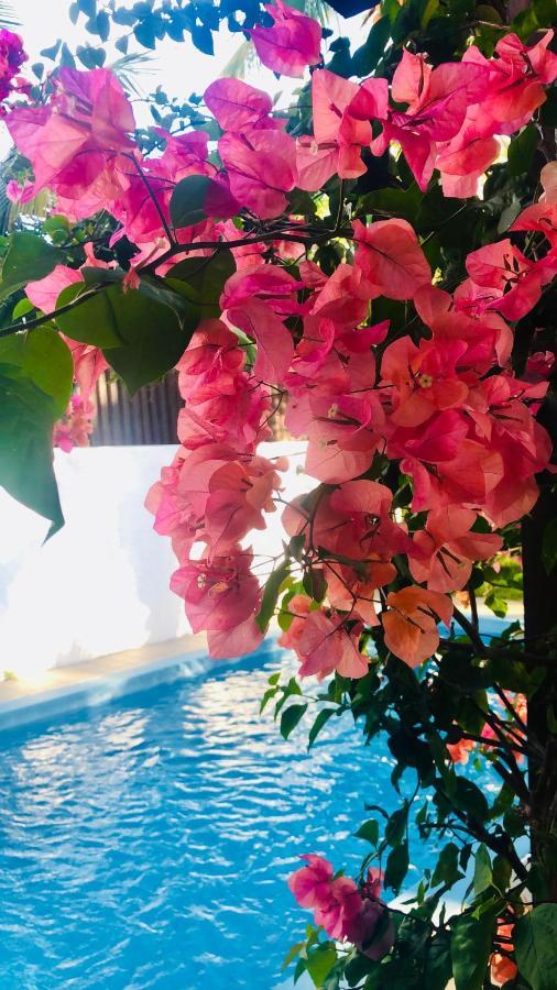 Villa North Coast Тру о Биш Екстериор снимка